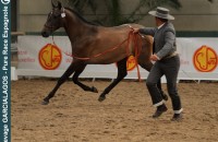 elevage-garcialagos-pre-facundo4-2016