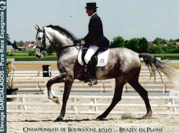 elevage-garcialagos-dressage20