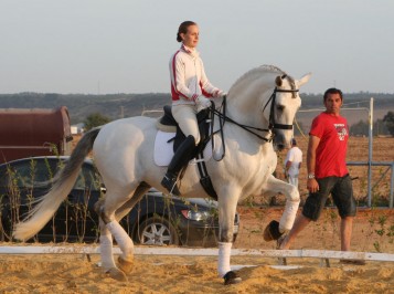 elevage-garcialagos-pre-impatiente6