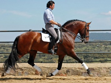 elevage-garcialagos-armas-tarugo5