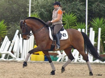 elevage-garcialagos-pre-gumiel1