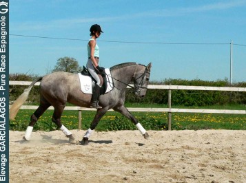 elevage-garcialagos-poulinieres-vorajona-des-gachots7