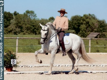 elevage-garcialagos-dressage-quetzal-des-gachots13