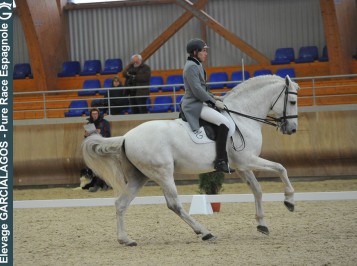 elevage-garcialagos-dressage-quetzal-des-gachots3