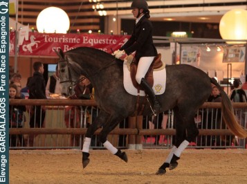 elevage-garcialagos-pre-enpiste04