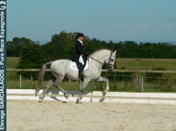 elevage-garcialagos-pre-enpiste17