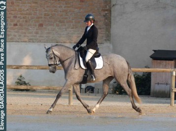 elevage-garcialagos-pre-enpiste9
