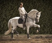 elevage-garcialagos-dressage-quetzal-des-gachots14