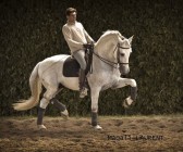 elevage-garcialagos-dressage-quetzal-des-gachots16