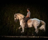 elevage-garcialagos-dressage-quetzal-des-gachots19